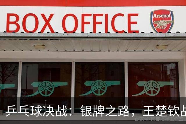乒乓球决战：银牌之路，王楚钦战败收复失地